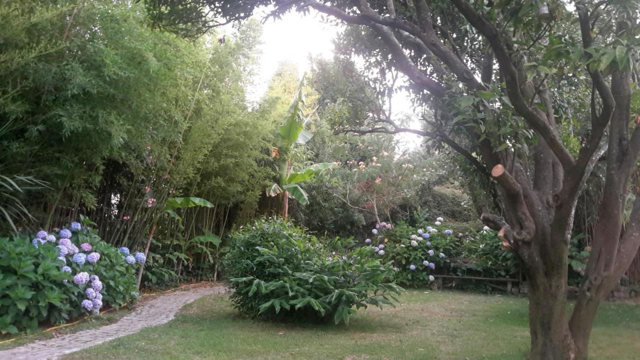 Bed and Breakfast Casa 3 Aguias à Aveiro Extérieur photo